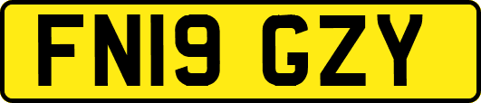 FN19GZY