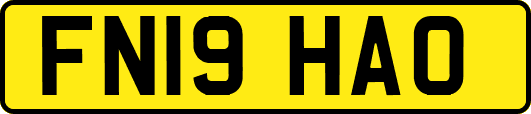 FN19HAO