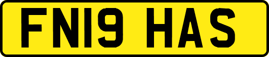 FN19HAS