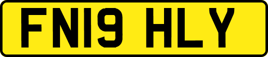 FN19HLY