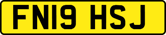 FN19HSJ