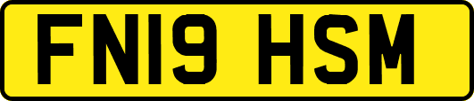 FN19HSM