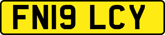 FN19LCY