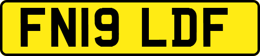 FN19LDF