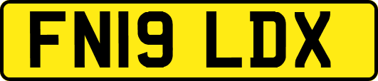 FN19LDX