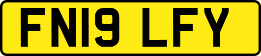 FN19LFY
