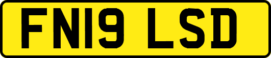 FN19LSD