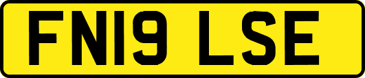 FN19LSE