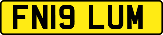 FN19LUM