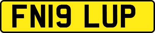 FN19LUP