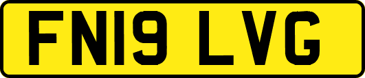 FN19LVG