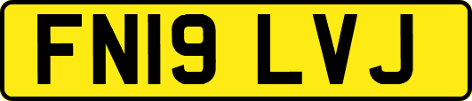FN19LVJ