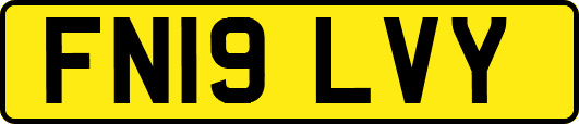 FN19LVY