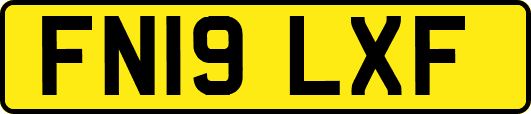 FN19LXF