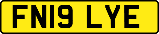 FN19LYE