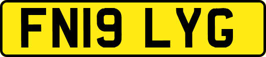 FN19LYG