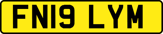 FN19LYM