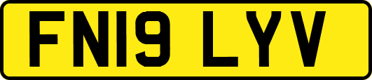 FN19LYV