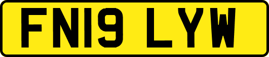 FN19LYW