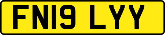 FN19LYY