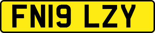 FN19LZY