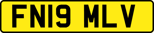 FN19MLV