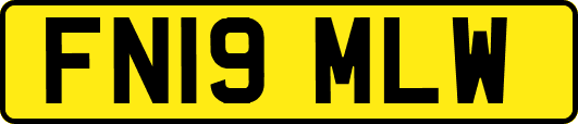 FN19MLW