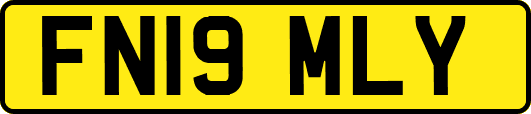 FN19MLY