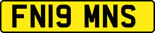 FN19MNS