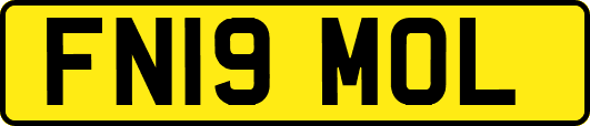 FN19MOL