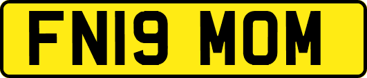 FN19MOM