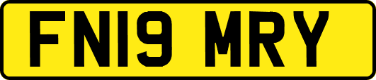 FN19MRY
