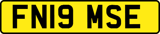 FN19MSE