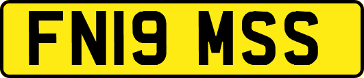 FN19MSS