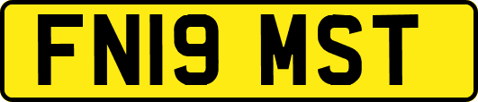 FN19MST