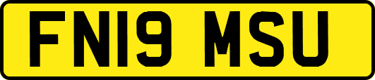 FN19MSU