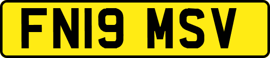 FN19MSV