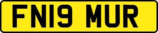 FN19MUR