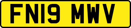 FN19MWV