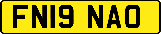FN19NAO