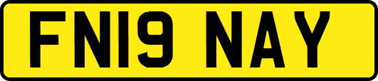 FN19NAY