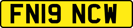 FN19NCW