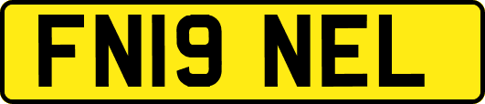 FN19NEL