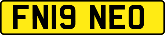 FN19NEO