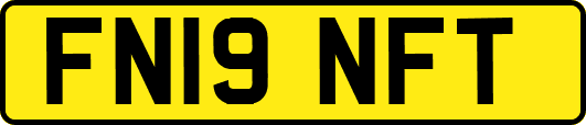 FN19NFT