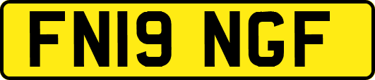 FN19NGF