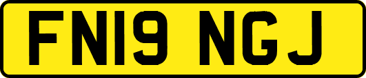 FN19NGJ