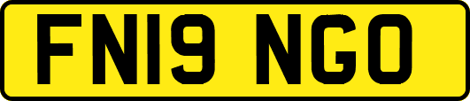 FN19NGO