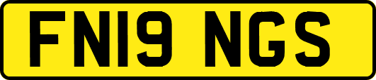 FN19NGS