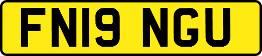 FN19NGU
